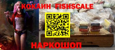 крисы Шелехов
