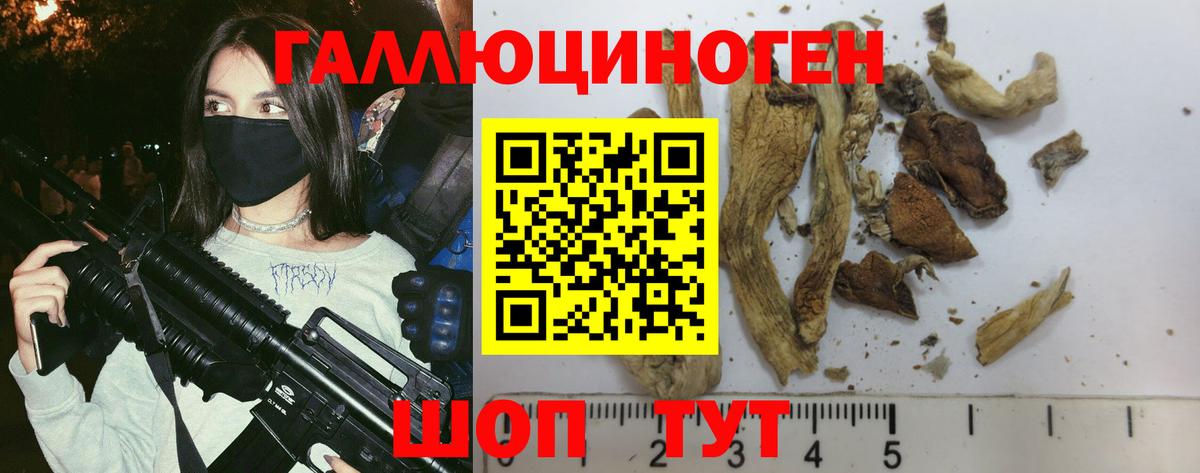 Усинск  Галлюциногенные грибы Psilocybe  Вход с VPN 
