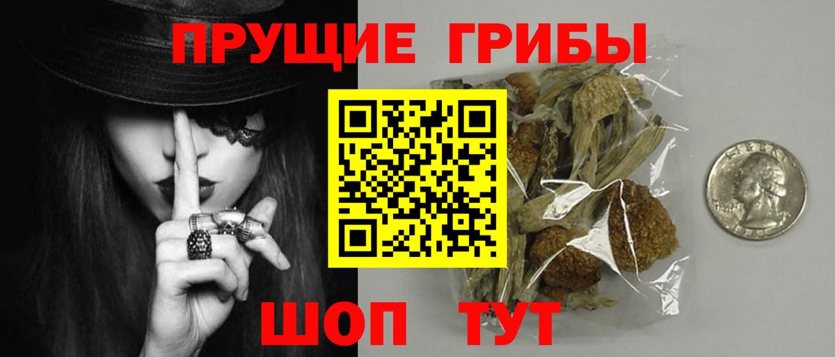 Галлюциногенные грибы Psilocybe Усинск